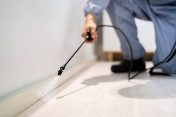 Licensed Mosquito Control service in Meade, KS - Show Me Pest Control