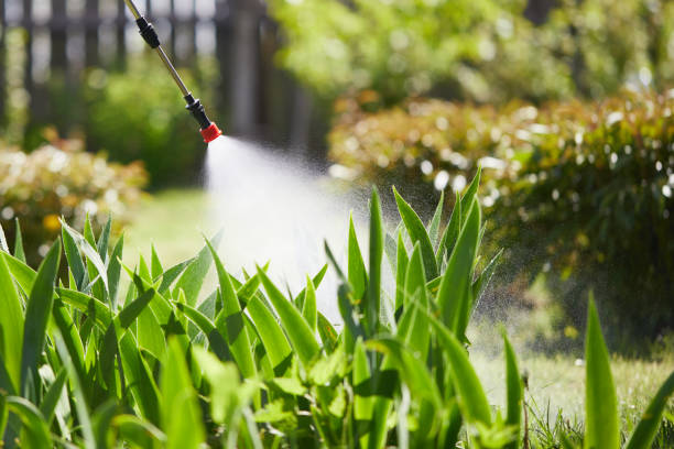 24/7 Emergency Mosquito Control experts in Meade, KS